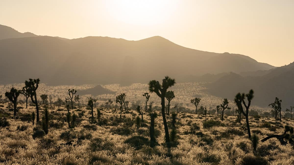 Scenic view of Palm Springs, California — a popular wedding destination