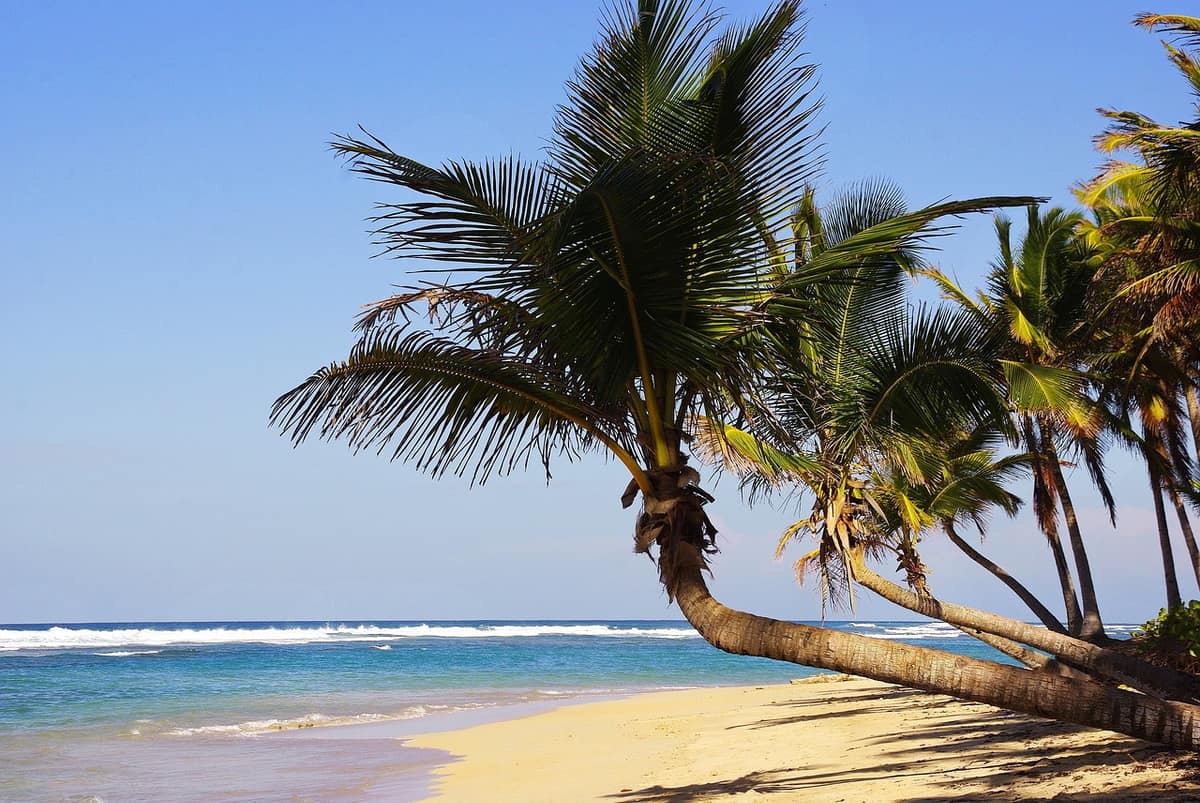Scenic view of Punta Cana, Dominican Republic — a popular wedding destination