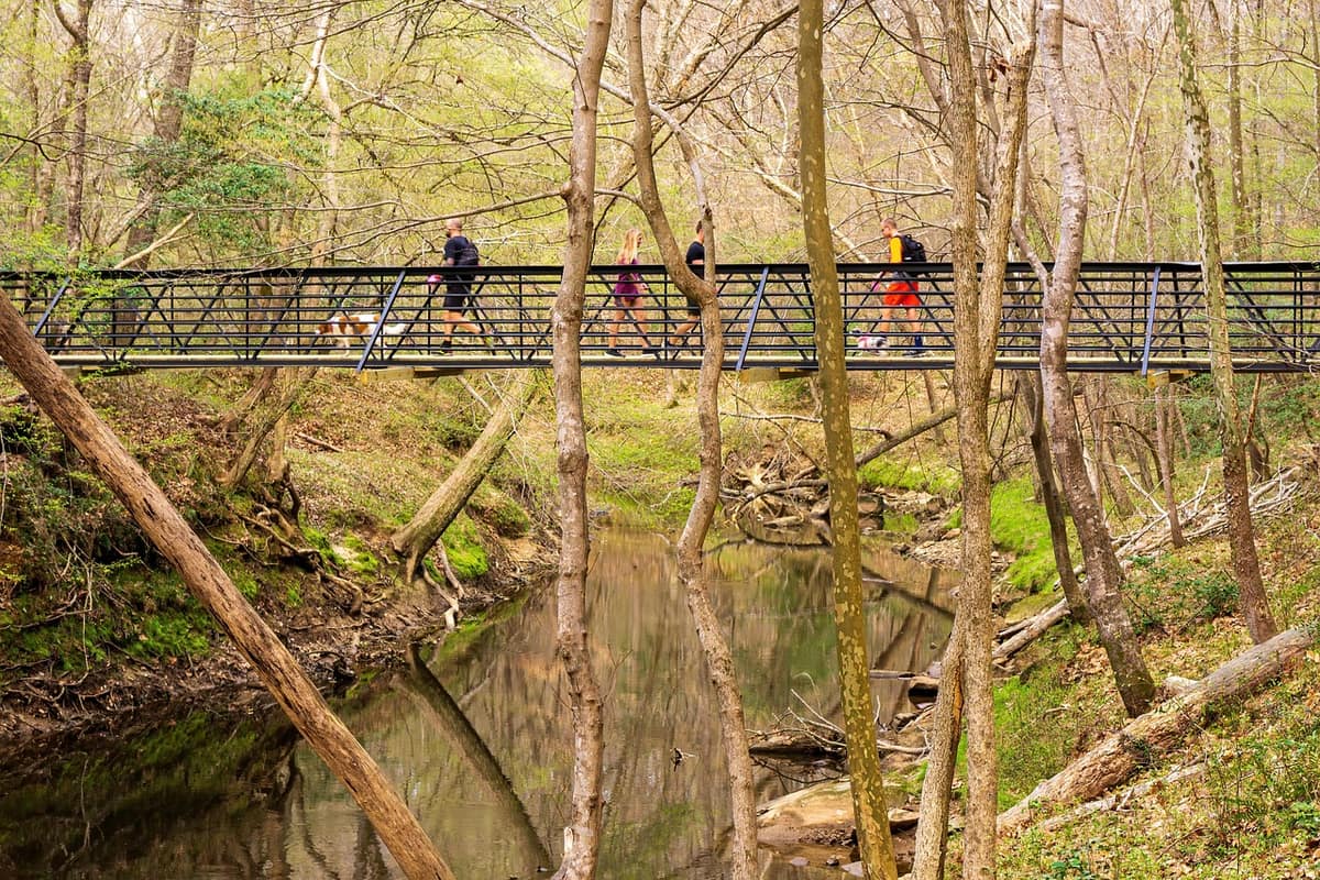 Scenic view of Raleigh, North Carolina — a popular wedding destination