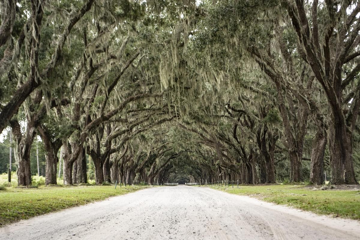 Scenic view of Savannah, Georgia — a popular wedding destination